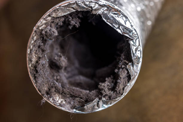 Best Air Duct Cleaning Near Me  in Eerlin, ND