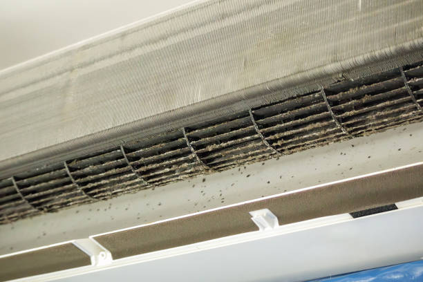 Best Local Air Duct Cleaning Services  in Eerlin, ND